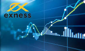 Exploring the Diverse Exness Trading Instruments Exploring the Diverse Exness Trading Instruments