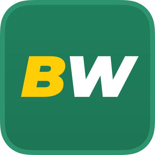 Explore the World of Betting with Bookmaker Betwinner 3