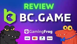 Exploring the Exciting World of BCCO Play 0