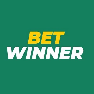 The Rise of Sports Betting A Comprehensive Guide to Sports Betting