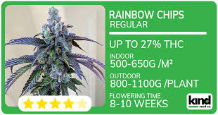 Cannabis Seeds Nevada Everything You Need to Know