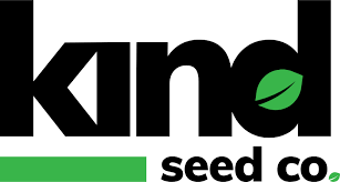 Cannabis Seeds Nevada Everything You Need to Know