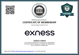 Understanding How Much is Exness Spread 1
